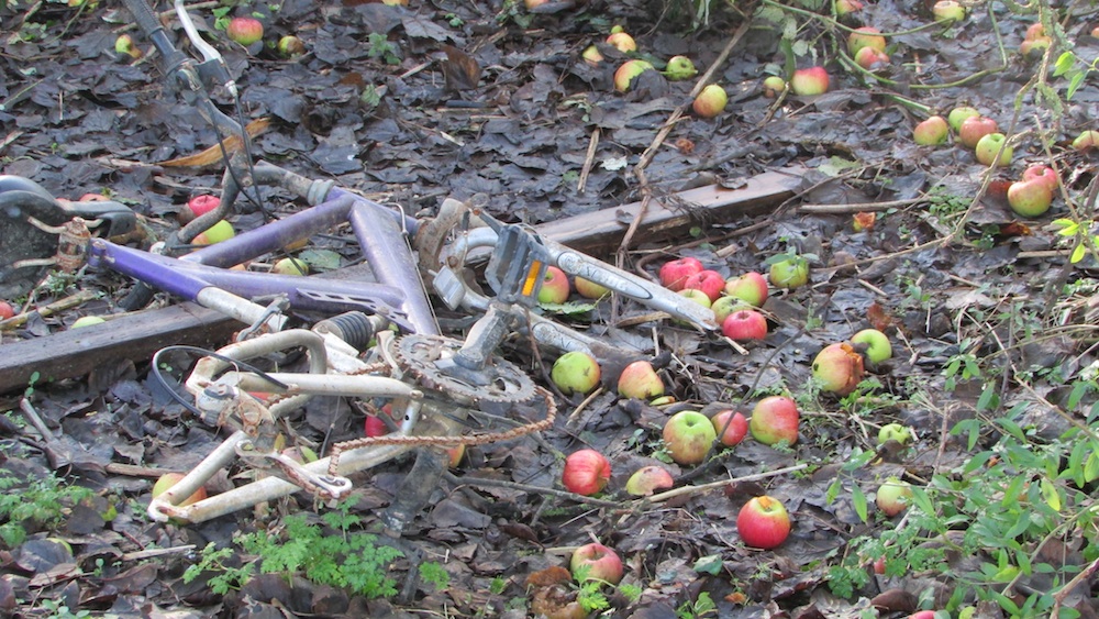 Junk and apples resized